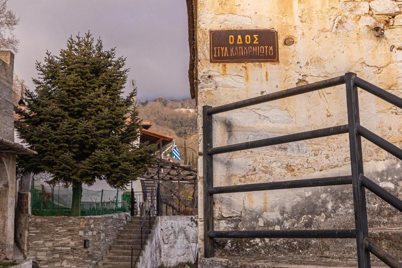 Villa Stefanos Katochori Dış mekan fotoğraf