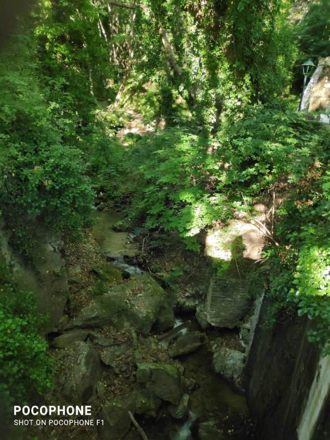 Villa Stefanos Katochori Dış mekan fotoğraf