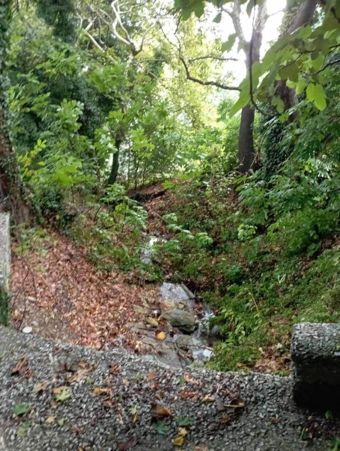 Villa Stefanos Katochori Dış mekan fotoğraf