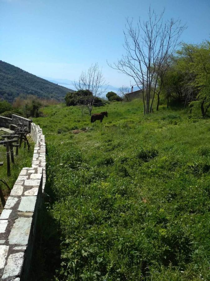 Villa Stefanos Katochori Dış mekan fotoğraf